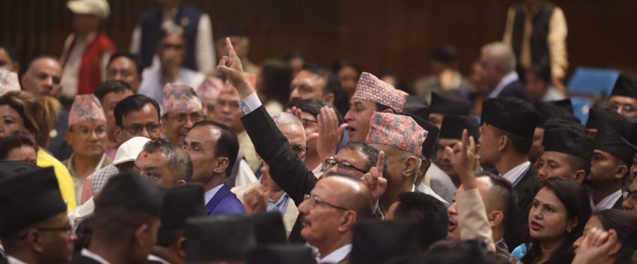 राजनीतिक दल सम्बन्धी दोस्रो संशोधन विधेयक फिर्ता, एक मतको अपमान