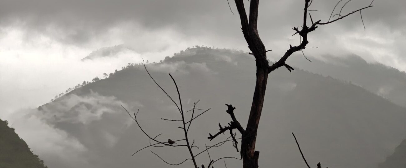 आजको मौसमः यी स्थानमा हुस्सु, हिमपात र वर्षाको सम्भावना