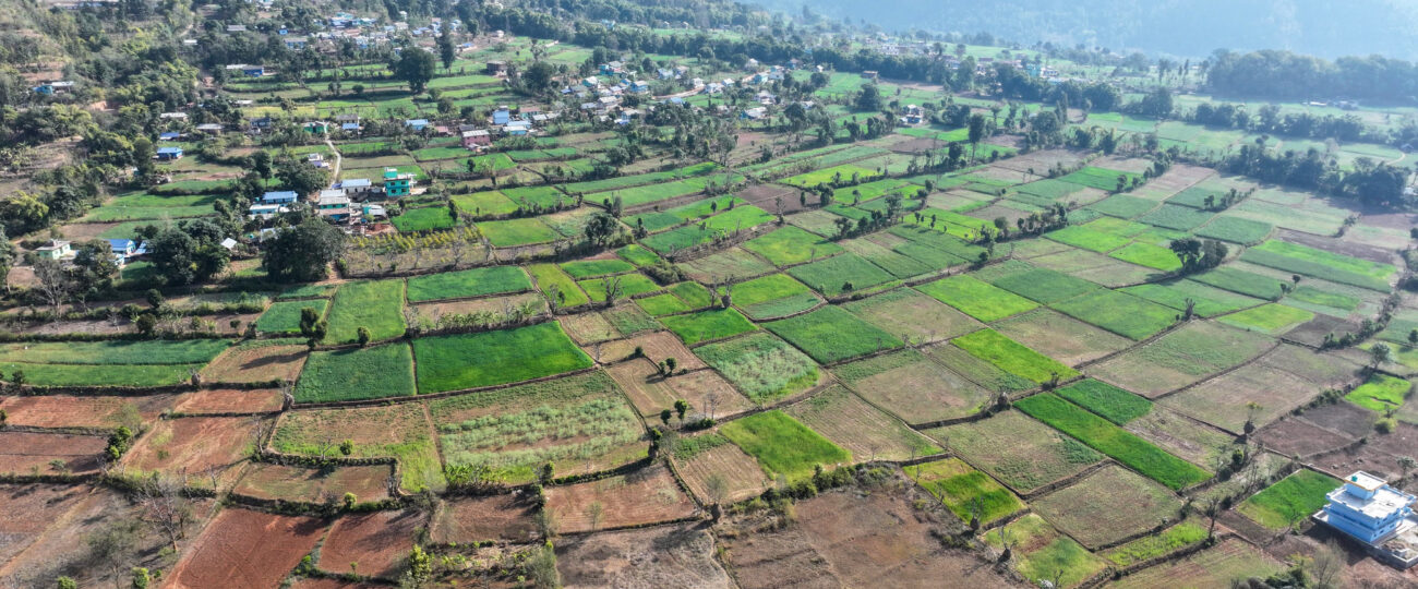  सुनिल स्मृति गाउँपालिका वडा नं. २ खुङ्रीचौर राेल्पा (तस्बिरहरू)