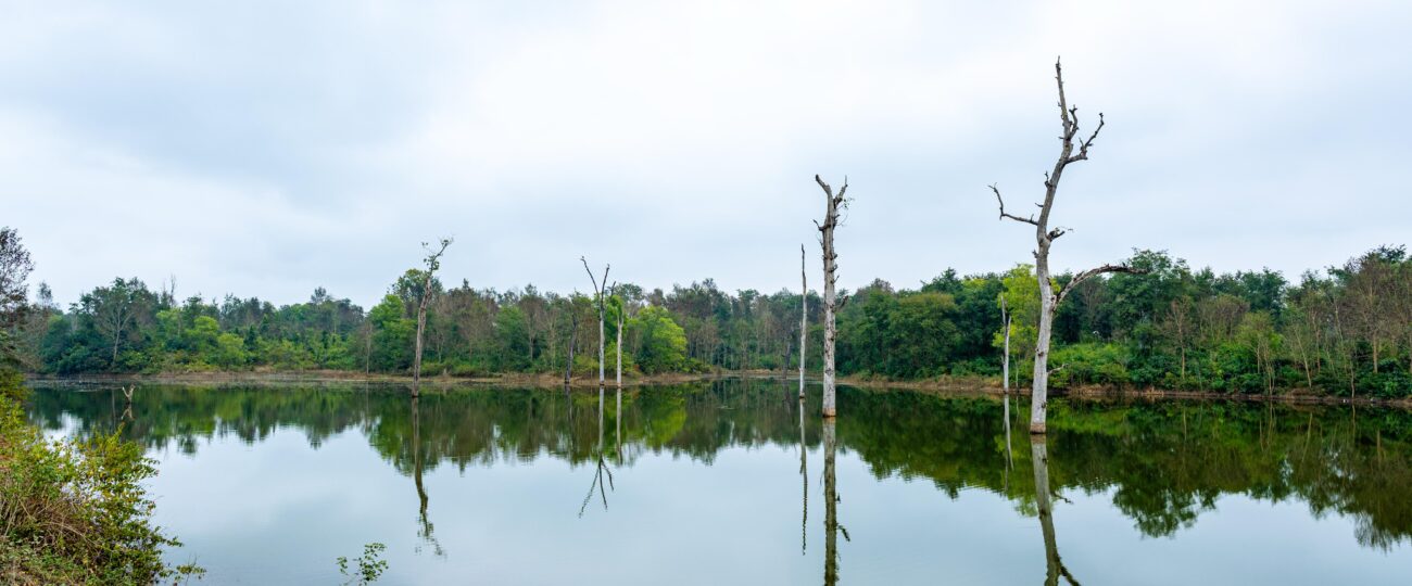 तस्विरमा बाँकेको कन्वा ताल