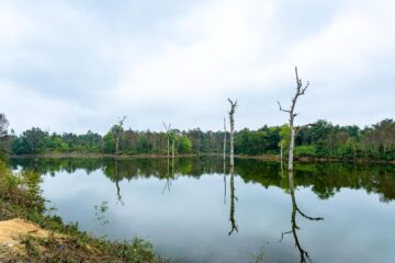 तस्विरमा बाँकेको कन्वा ताल