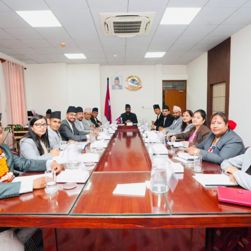 गृहपृष्ठ