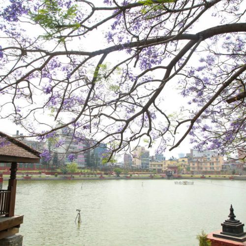 गृहपृष्ठ