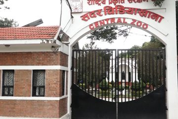 गृहपृष्ठ