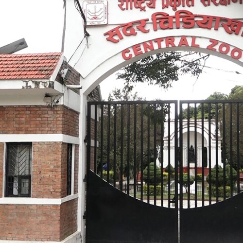 गृहपृष्ठ