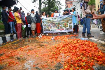 माइतीघरमा टमाटर किसानको आन्दोलनपछि कृषि मन्त्री गिता चौधरीको पहल : कालीमाटीबाट उपत्यका बाहिर ढुवानी सुरु 